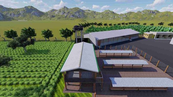 8.3 Acres Livestock Layout