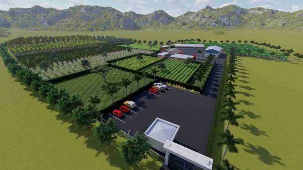 8.3 Acres Livestock Layout